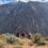 Kanion Colca w Peru- Czy można zakochać się w miejscu, w którym… brakuje oddechu?